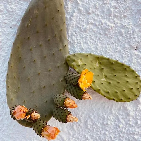 Borgo Cacciatori Hotel Ventotene