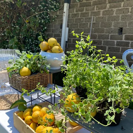 Szálloda Borgo Cacciatori Ventotene