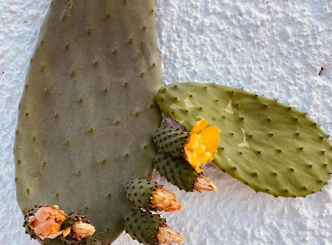 Borgo Cacciatori Ξενοδοχείο Βεντοτένε